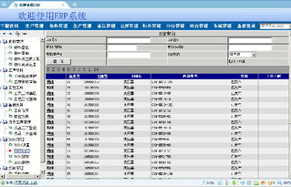 變壓器工廠ERP系統(tǒng)全攻略 價(jià)格、廠家、圖片與軟件開(kāi)發(fā)詳解